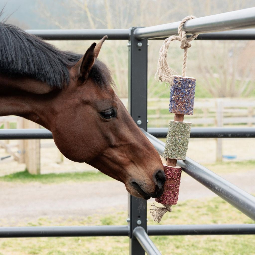 Grooming Deluxe Wooden Relax Horse Toy, Farbe:Freedom