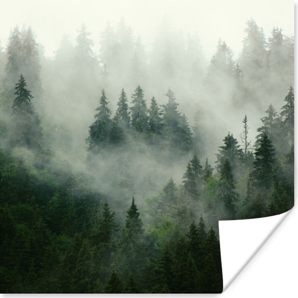 MuchoWow Poster Wald - Nebel - Bäume - Natur 100x100 cm - Babyzimmer