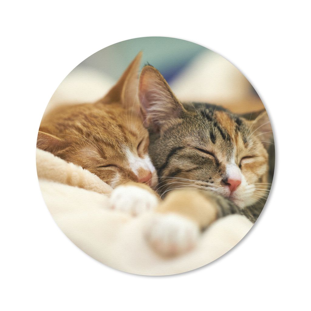 MuchoWow Mauspad Mousepad Katzen - Schlafen - Vorleger 20x20 cm - Mousepads - Maus Mat - Pad - Mausunterlage - Schreibtischmatte
