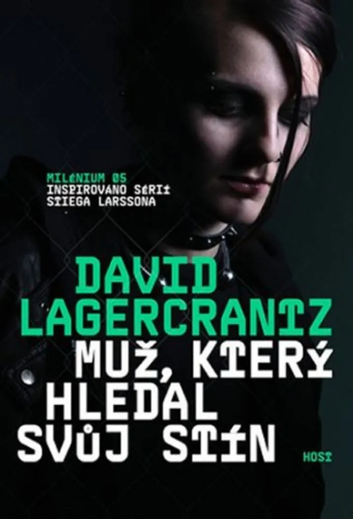Idée Cadeau Lecture Thriller : Millénium 5 La Fille qui cherchait son ombre