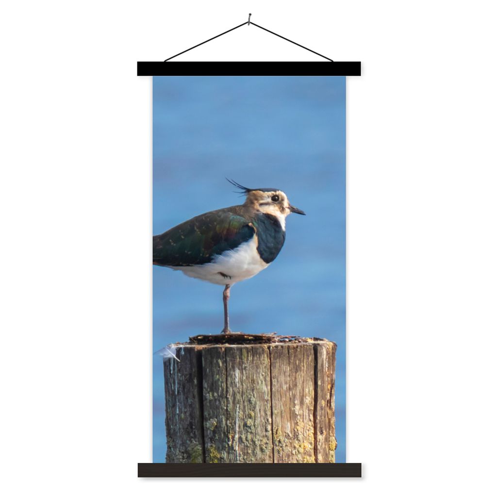 MuchoWow Textilposter Vogel - Tiere - Pfahl - Blau - Kiebitz 40x80 cm mit schwarzem Rahmen - Wandemalerei