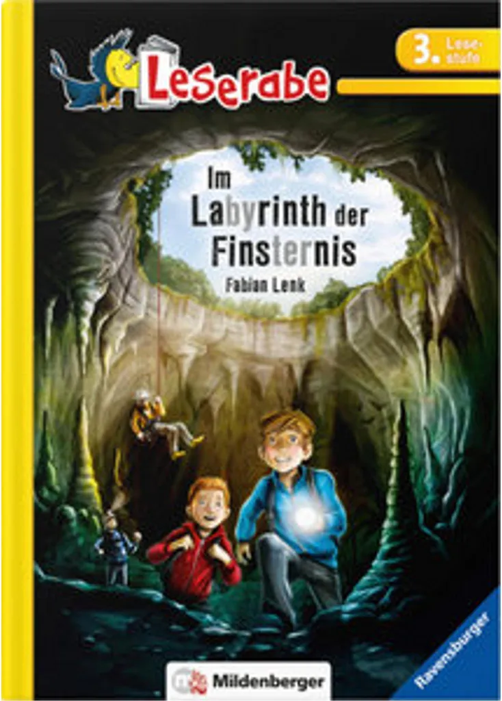 Leserabe Im Labyrinth der Finsternis - Livre illustré aventure enfant