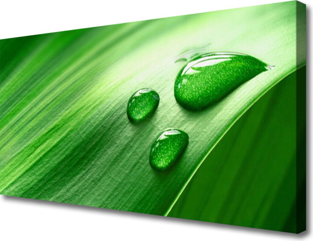 Tulup Leinwand-Bilder 100x50 Wandbild Canvas Kunstdruck Blatt Wasser Tropfen Pflanzen