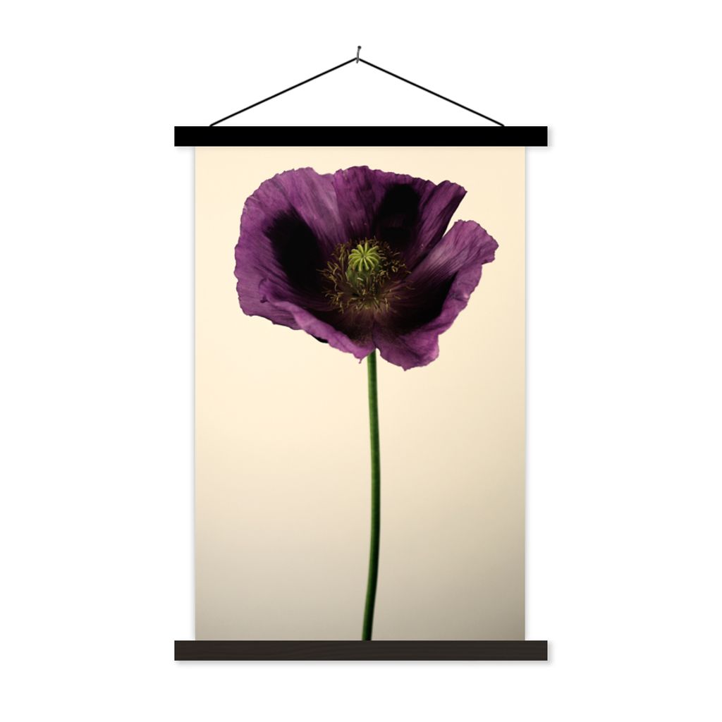 MuchoWow Textilposter Nahaufnahme eines violetten Mohns 40x60 cm mit schwarzem Rahmen - Wanddekorationen