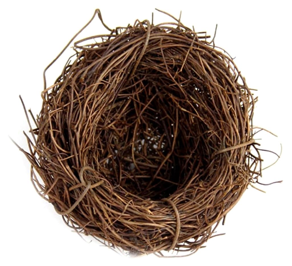 Oster-Vogelnest mit Eiern als Dekoration