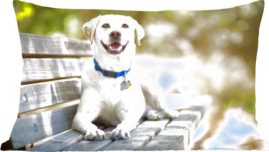 MuchoWow Zierkissen Sofakissen Wohnzimmer Dekokissen 60x40 cm Labrador Retriever auf einer Bank - Kopfkissen - Polster mit Foto
