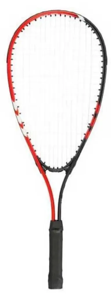 Set de speed badminton Avento Gris avec raquettes et volants de plein air