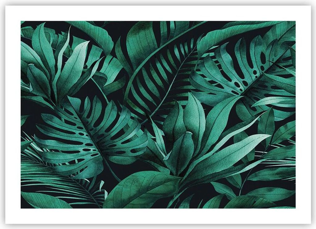 Poster - Poster ohne Rahmen - Blätter Grafiken Monstera - 70x50 cm - Wand Bild - Wanddeko - Wandbilder - Kunstposter - Wandposter - Bilder - Kunst...