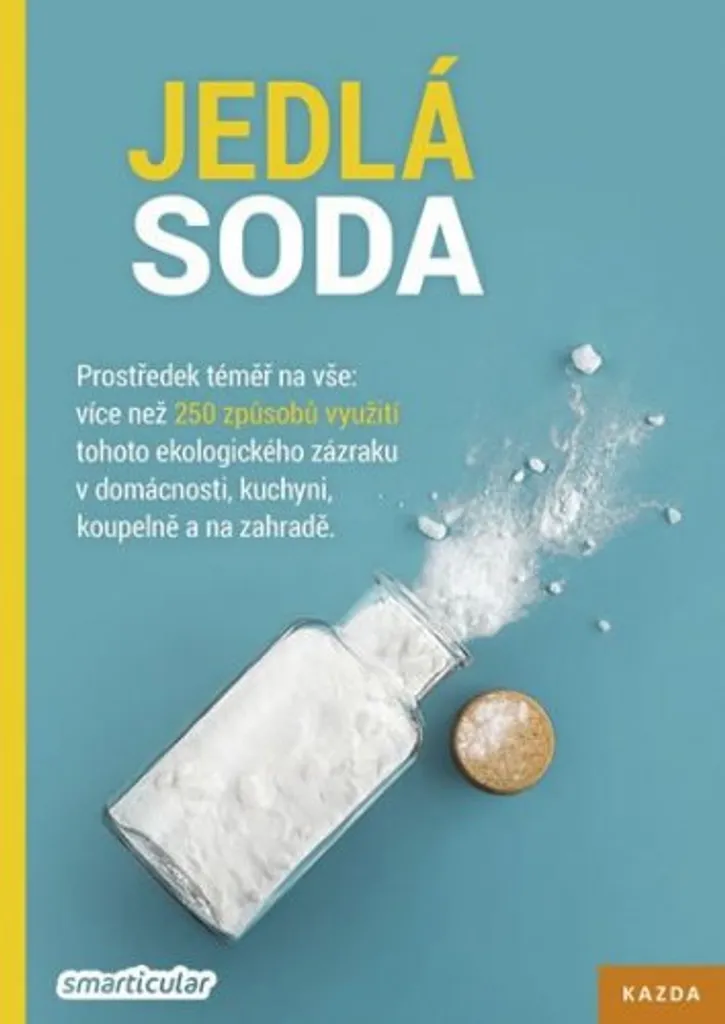 Livre Bicarbonate de Soude : 40 Astuces Écologiques pour votre Maison