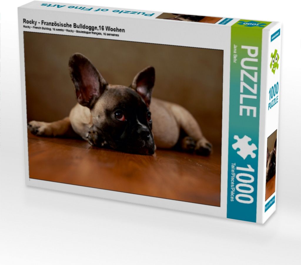 Calvendo Rocky - Französische Bulldogge,16 Wochen 1000 Teile Puzzle quer 640x480mm, Behr Jana; 7340731