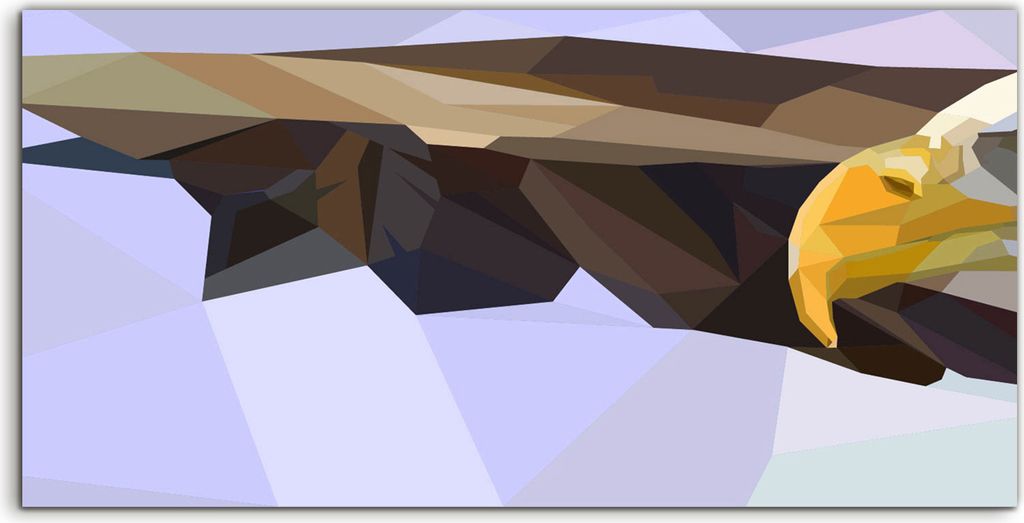 Coloray - Glasbild - 100x50 cm - Wandbild - Glasbilder - Vogel Tier Adler minimalistischer Stil