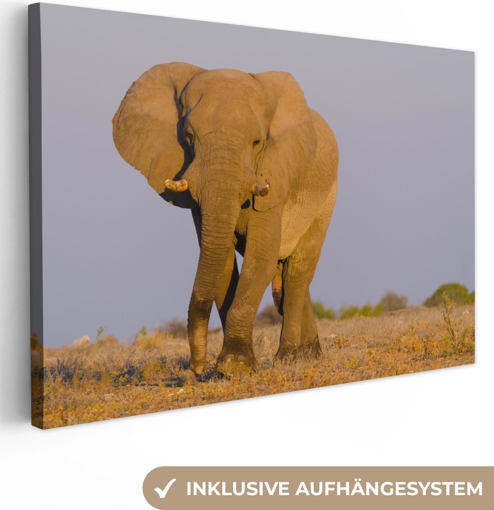 OneMillionCanvasses - Leinwandbilder - 150x100 cm, Afrikanischer Elefant im Sand, Wandbilder Kunstdruck Wanddekoration
