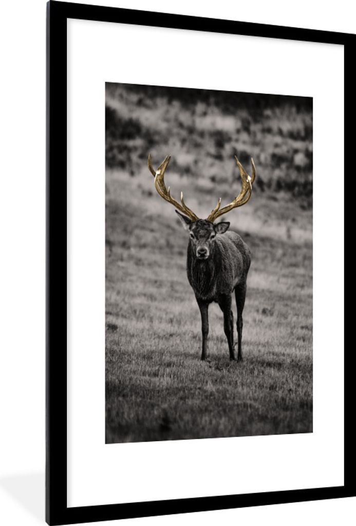 MuchoWow MuchoWow Gerahmtes Poster Hirsch - Gold - Geweih 60x90 cm - Poster mit zchwarzem Bilderrahmen - Dekoration - Wandposter Wohnzimmer - H...