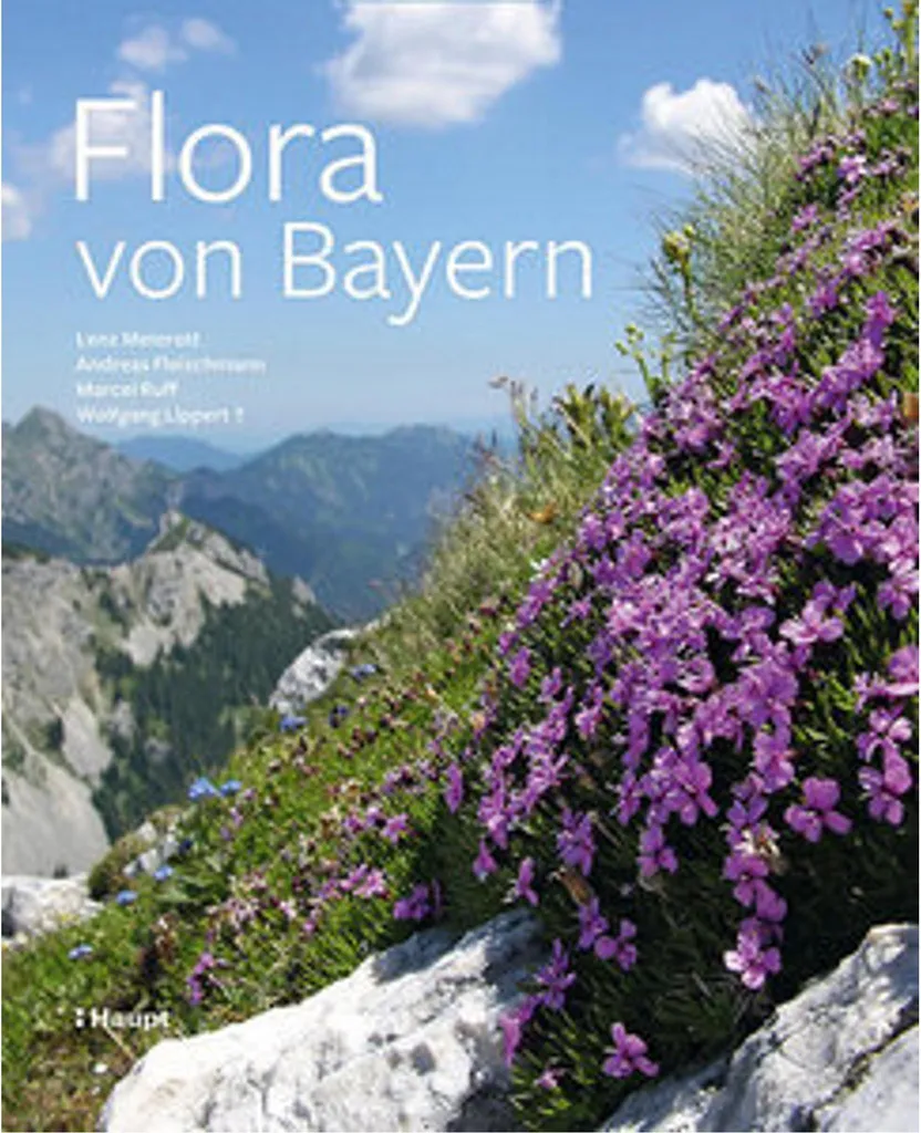 Costume Flora von Bayern pour fête de la bière robe verte en taille 40
