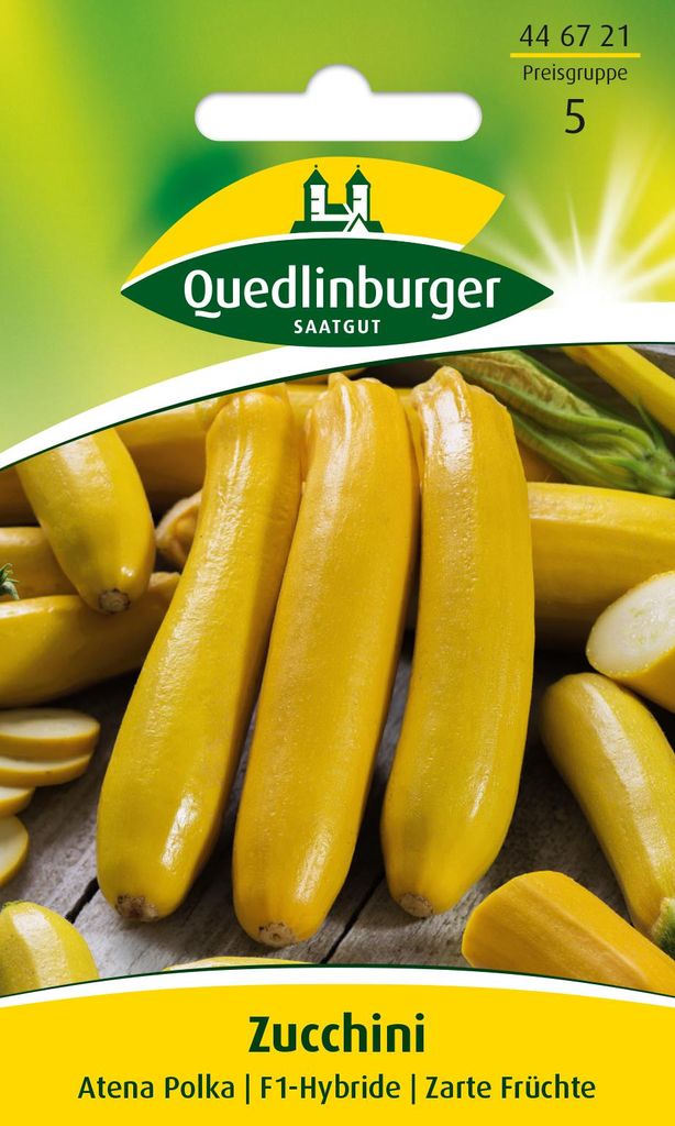 Zuccini 'Atena Polka F1' Quedlinburger Gemüsesamen Produktbild 