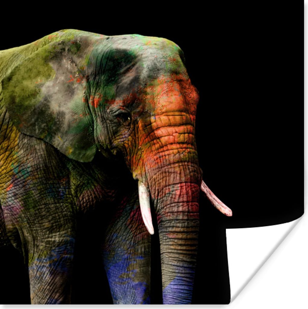 MuchoWow Poster Elefant - Farben - Tier 100x100 cm - Babyzimmer