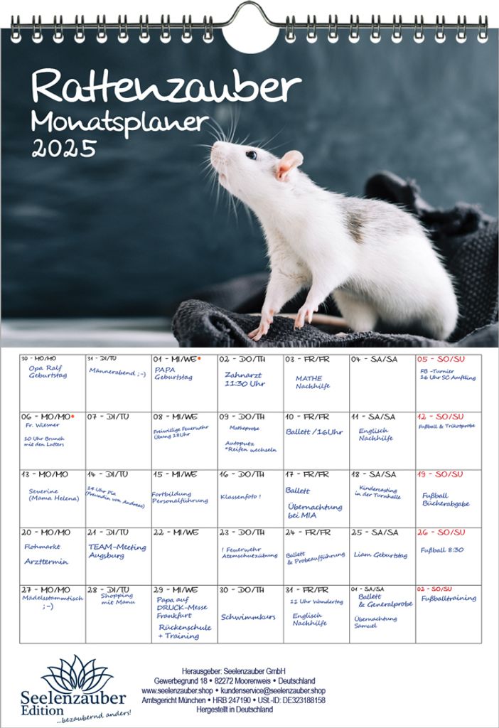 Rattenzauber Planer DIN A4 Kalender für 2025 Ratten - Seelenzauber