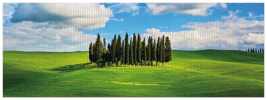 Wallario Duschmatte Antirutschmatte Badmatte Fußmatte Kleiner Wald inmitten einer weiten Wiese, Größe ca. 180 x 65 cm