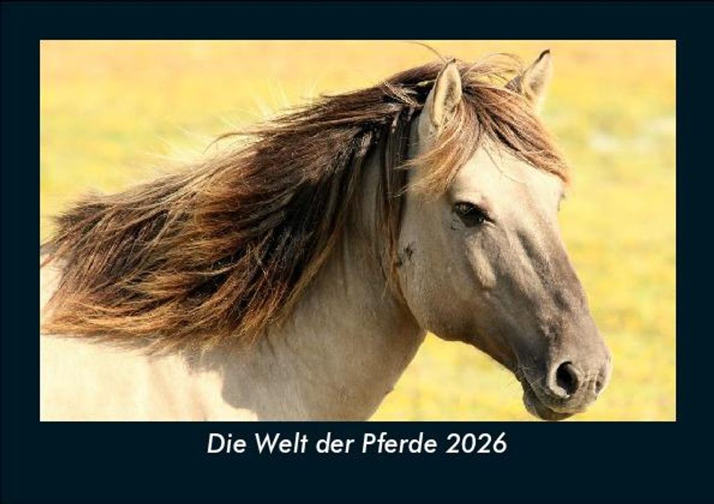 Die Welt der Pferde 2026 Fotokalender - Querformat DIN A5, Monatskalender mit Bild-Motiven von Haustieren, Bauernhof, wilden Tieren und Raubtieren