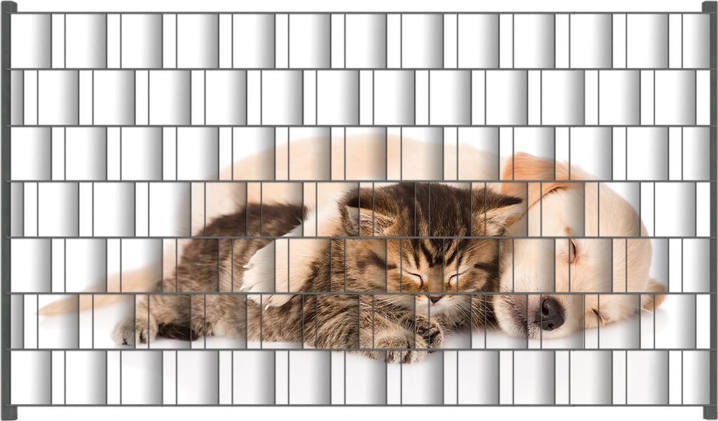Wallario Zaunsichtschutz mit Motiv Katze und Hund in Harmonie - Kuschelnde Tiere für Ein- und Doppelstabmatten Zäune in der Größe 250 x 140 cm