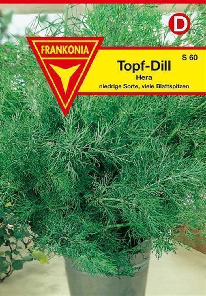 Topf-Dill Hera Produktbild 