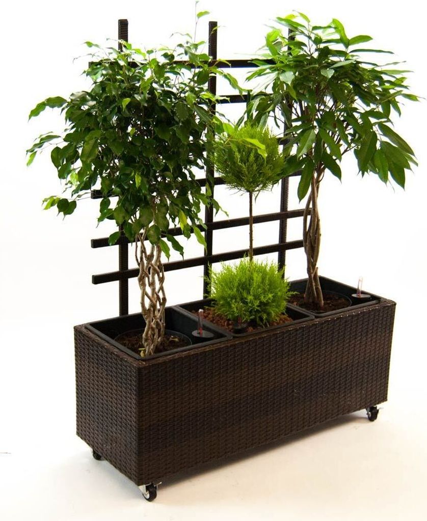 Elegant Einrichten | Pflanzkübel | Polyrattan | mit Rankgitter | rechteckig | 82x30x100cm | coffeebraun