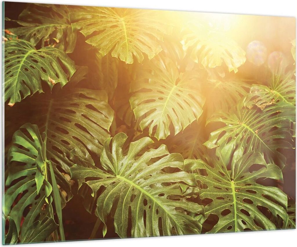 Bilder auf glas - Einteilig - Blätter Monstera Licht - 100x70cm - Glasbilder - Wandbilder - Bilder - zum Aufhängen bereit - Wanddekoration aus Gl...