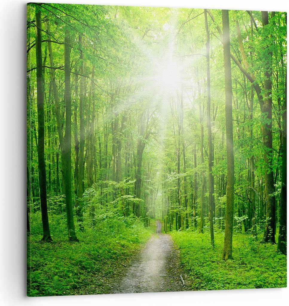 Bild auf Leinwand - Leinwandbild - Sonnenstrahlen Wald Sommer - 50x50cm - Wand Bild - Wanddeko - Leinwanddruck - Bilder - Kunstdruck - Wanddekorati...