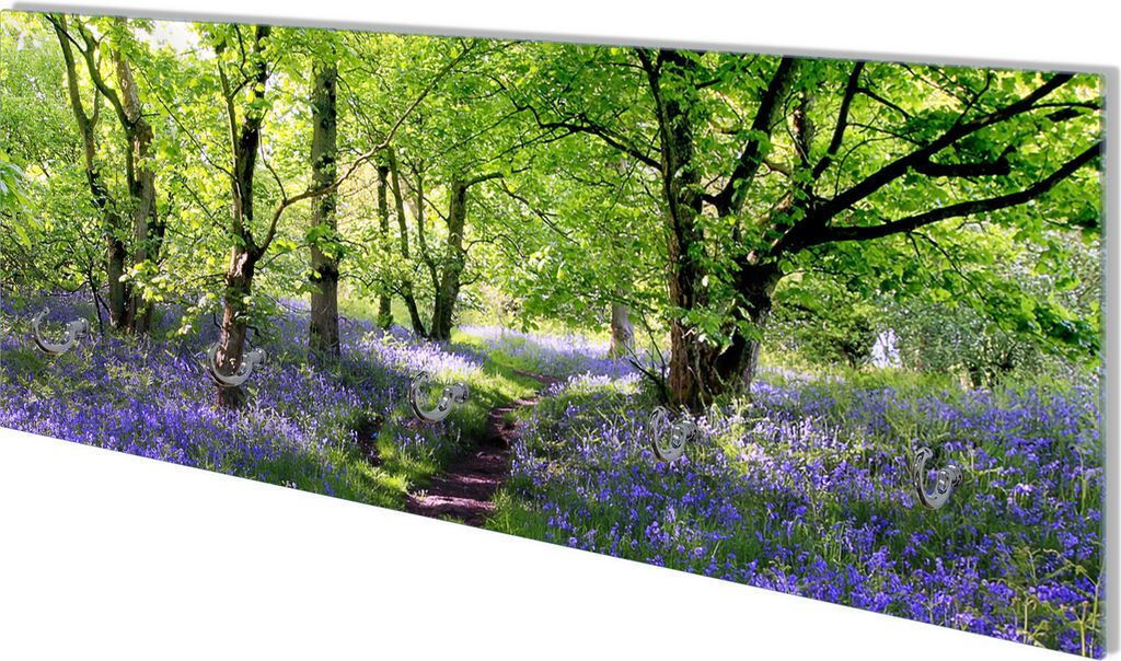 Wallario Flurgarderobe Wandgarderobe aus Glas, mit 5 Haken, Größe 80 x 30 cm, Motiv Blaues Hasenglöckchen im Wald