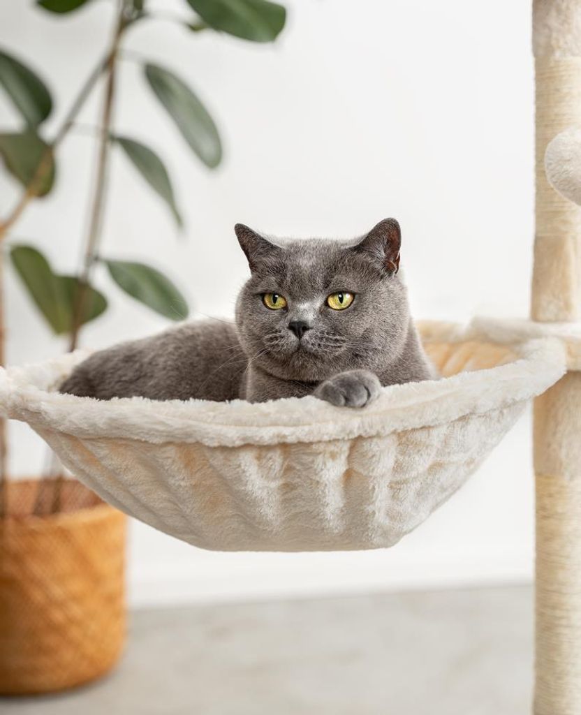 Trixie Kuscheltasche Hngematte Fr Katzen  Plsch, Beige, 38cm  Aufsatz  Fr Kratzbume  Neu Mit EAN 4047974439104 Katzen Matte
