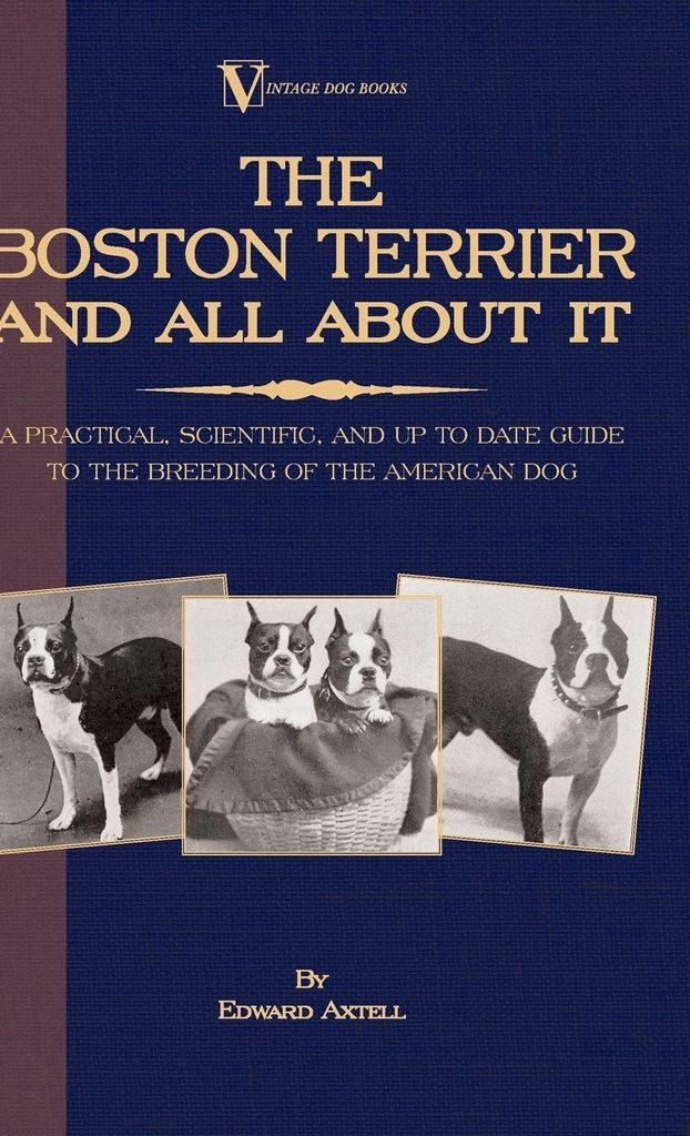 The Boston Terrier And All About It - A Practical, Scientific, And Up To Date Guide To The Breeding Of The American Dog (A Vintage Dog Books Breed ...