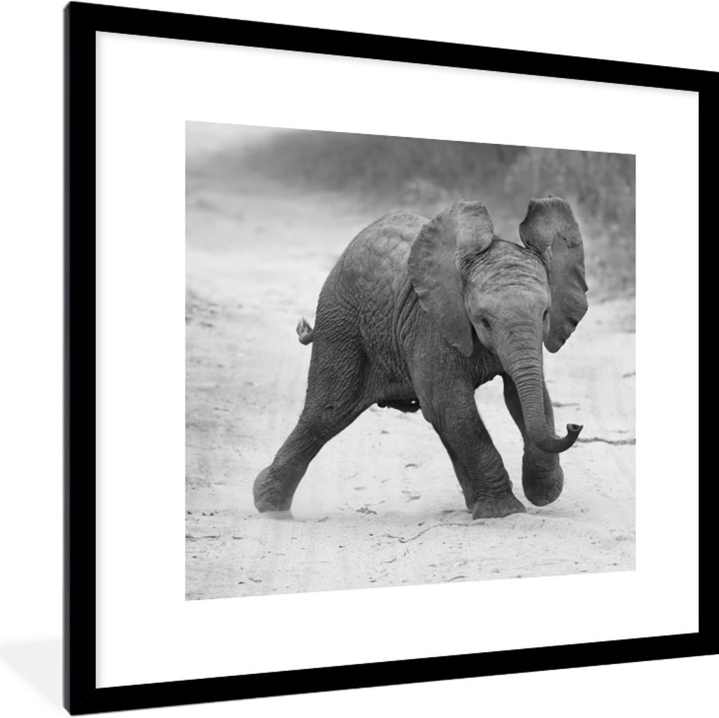 MuchoWow Gerahmtes Poster Baby-Elefant, der im Sand spazieren geht, in Schwarz und Weiß 40x40 cm - Poster mit Schwarzem Bilderrahmen Wandposter ...