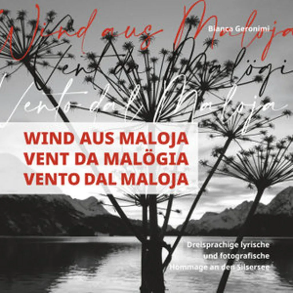 Vent da Malögia Vento dal Maloja - Fragrance Artisanale aux Pin Alpin