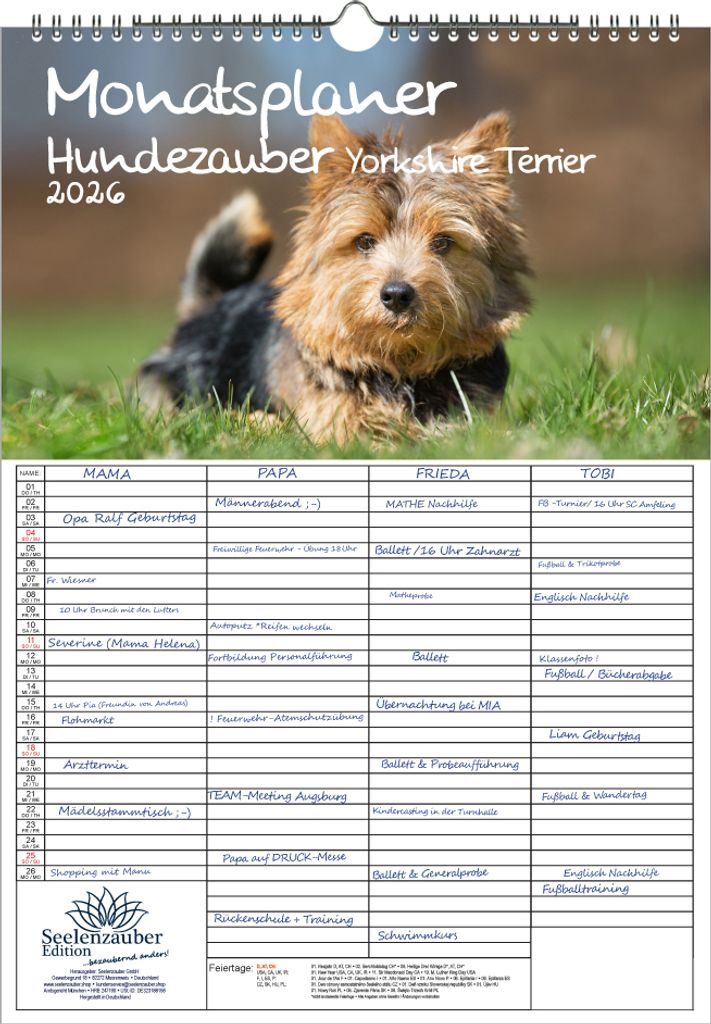 Hundezauber Yorkshire Terrier Planer Familienplaner 4 Spaltenplaner DIN A3 Kalender für 2026 Welpen und Hunde - Seelenzauber