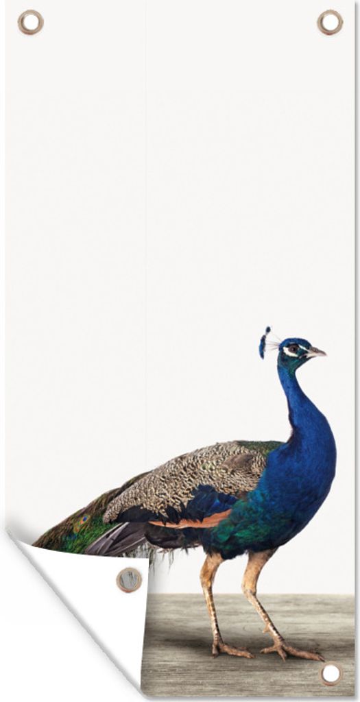 MuchoWow 80x160 cm Outdoor-Poster Gartendeko Sichtschutz Garten Poster für den Garten Pfau - Federn - Vogel - Kinder - Jungen - Mädchen