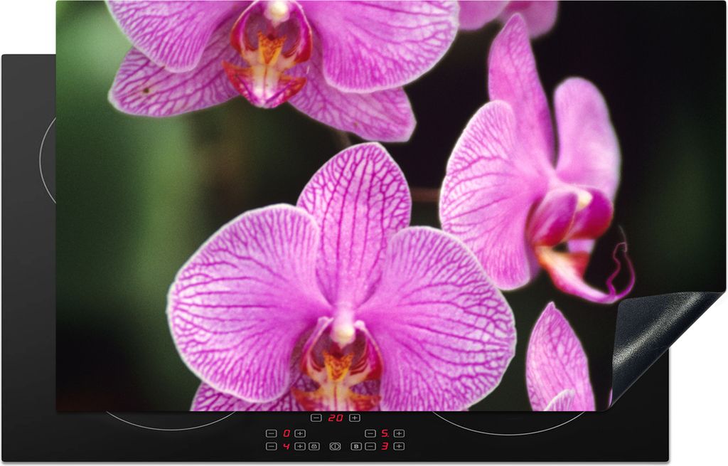 KitchenYeah Herdabdeckplatte Rosa Orchidee , 83x51cm, Küche Deko, Glaskeramikkochfeld Herdabdeckung, Abdeckplatte fùr Kochfeld