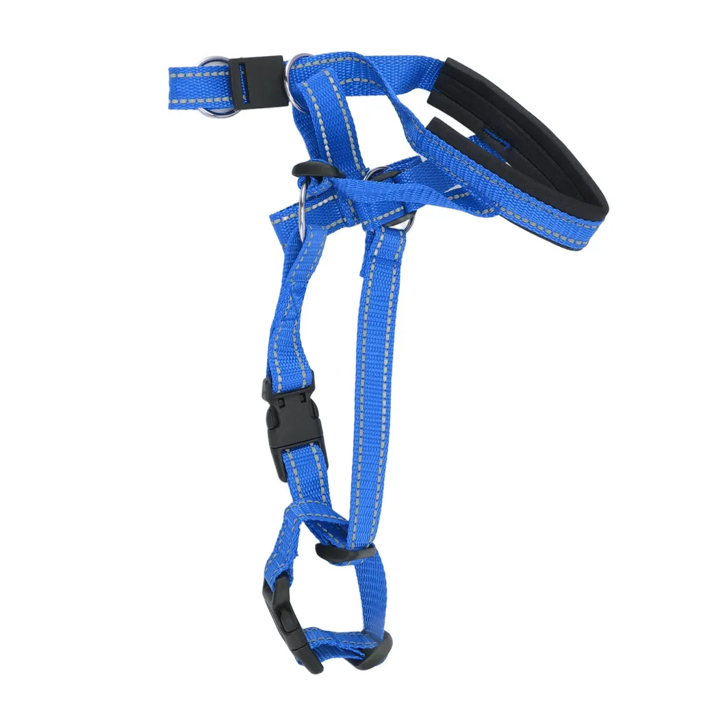 Collare Professionale Outdoor Cane Taglia L Blu - Mesh Regolabile