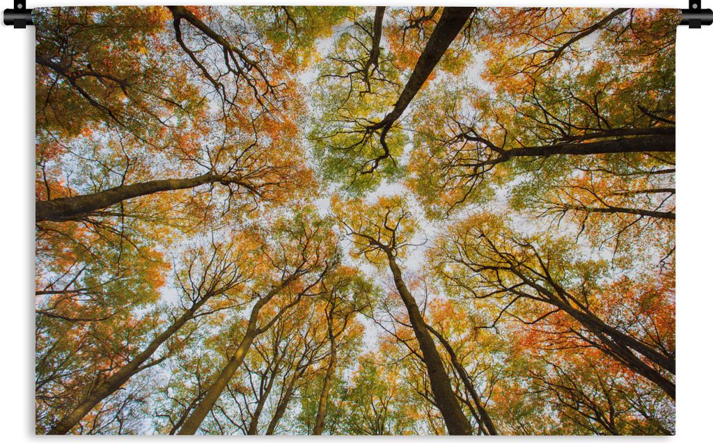 MuchoWow Wandteppich Wandbehang Wald - Bäume - Herbst 150x100 cm Tapisserie Dekoration Wandtuch - Waschbar - Tapisserien - Wand-Decke