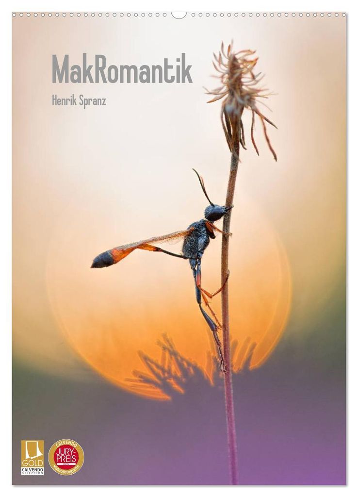 MakRomantik (Wandkalender 2027 DIN A2 hoch), CALVENDO Monatskalender