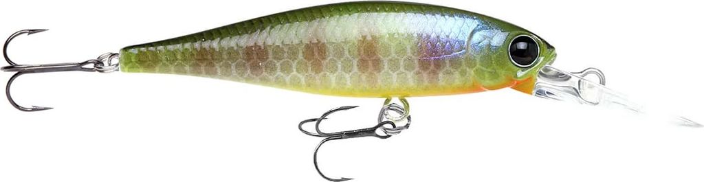 Lucky Craft Pointer 48 DD BE Gill