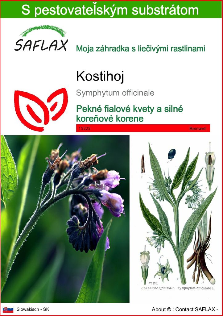SAFLAX - kostihoj - Symphytum officinale - 15 Semená - S Obrázok produktu 