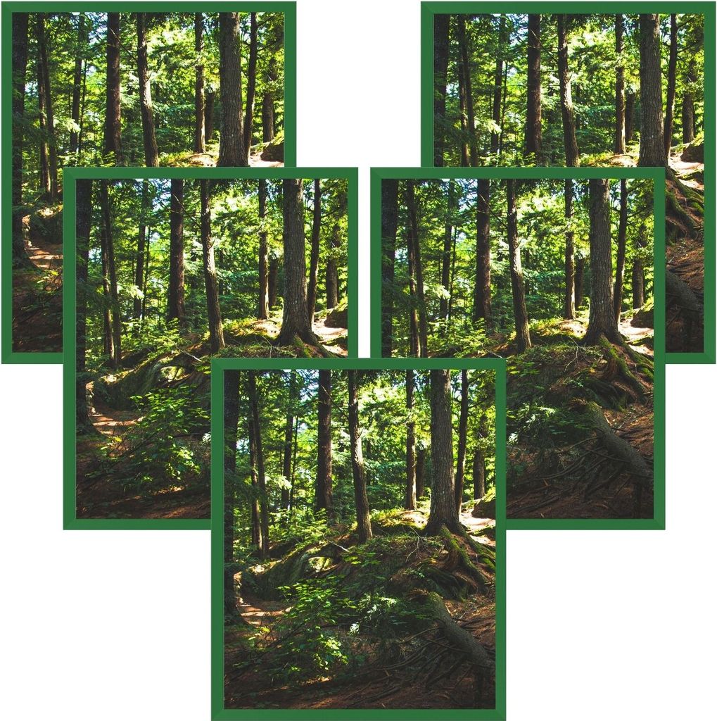 5x Bilderrahmen Fotorahmen Kunststoff grün 40x50 cm