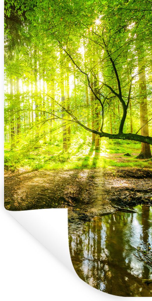 MuchoWow Wandtattoo Wandsticker Wandaufkleber Wald - Landschaft - Wasser - Bäume - Sonne - Grün - Natur 60x120 cm Selbstklebend und Repositioni...