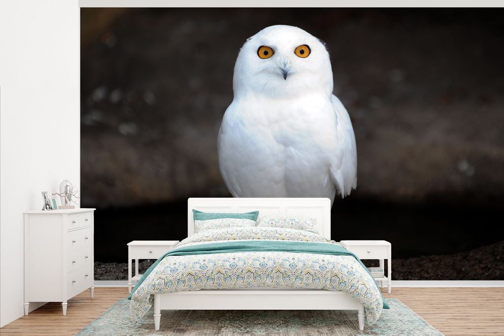 MuchoWow Fototapete für Wohnzimmer oder Schlafzimmer Wandtapete Vinyl Motivtapete Schneeeule - 375x240 cm - Wand Tapete