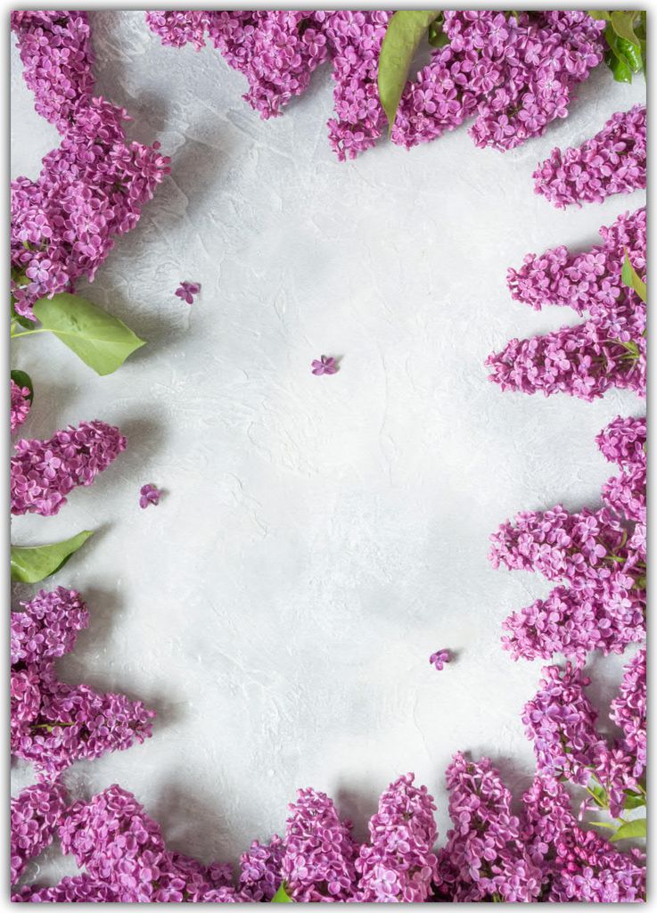 Motivpapier Briefpapier Blumen Blüten Flieder violett (MPA-5214, DIN A4, 100 Blatt)