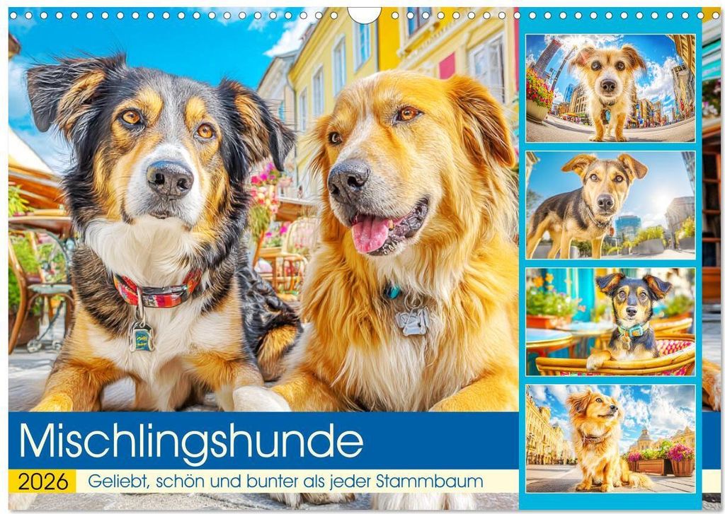 Mischlingshunde. Geliebt, schön und bunter als jeder Stammbaum (Wandkalender 2026 DIN A3 quer), CALVENDO Monatskalender