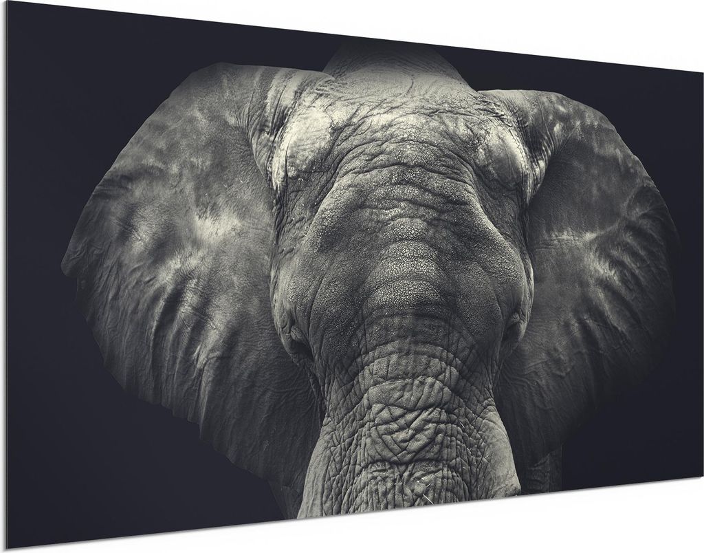 DEQORI Alu-Dibond Bild Weiß 100x50 cm 'Der graue Gigant' Wandbild Metall dünn Design