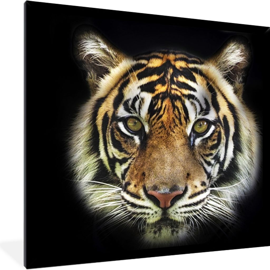 MuchoWow Gerahmtes Poster Tiger - Tierkopf - Schwarz 40x40 cm - Poster mit Schwarzem Bilderrahmen Wandposter Rahmen Foto Bilder - Mit Rahmen - Wa...