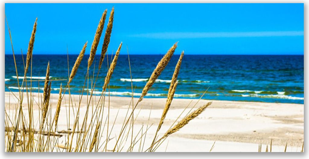 Küchenrückwand aus Glas 120x60cm Spritzschutz Meer Strand Landschaft