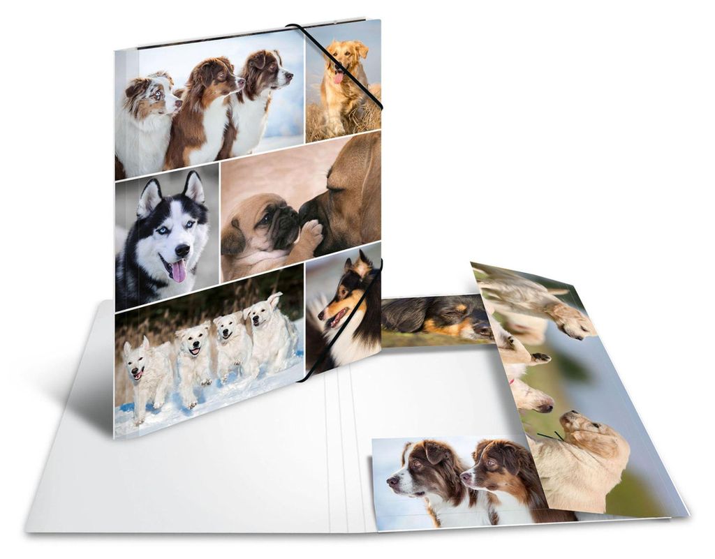 HERMA Eckspannermappe "Hunde" aus Karton DIN A4